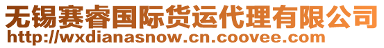 無錫賽睿國際貨運(yùn)代理有限公司