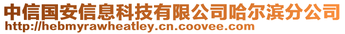 中信國(guó)安信息科技有限公司哈爾濱分公司