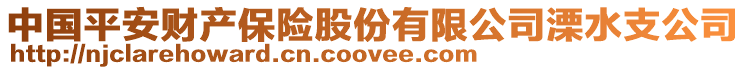 中國(guó)平安財(cái)產(chǎn)保險(xiǎn)股份有限公司溧水支公司