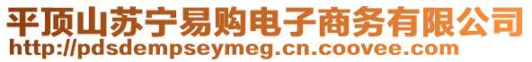 平頂山蘇寧易購電子商務有限公司