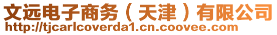 文遠(yuǎn)電子商務(wù)（天津）有限公司