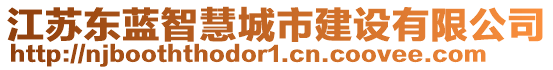 江蘇東藍(lán)智慧城市建設(shè)有限公司