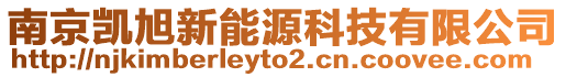 南京凱旭新能源科技有限公司