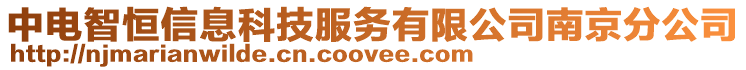 中电智恒信息科技服务有限公司南京分公司