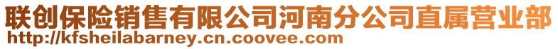 聯(lián)創(chuàng)保險(xiǎn)銷(xiāo)售有限公司河南分公司直屬營(yíng)業(yè)部