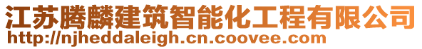 江蘇騰麟建筑智能化工程有限公司