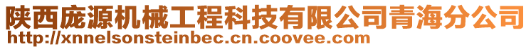 陜西龐源機械工程科技有限公司青海分公司