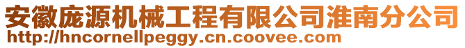 安徽龐源機(jī)械工程有限公司淮南分公司