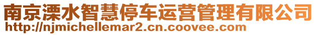 南京溧水智慧停車運營管理有限公司