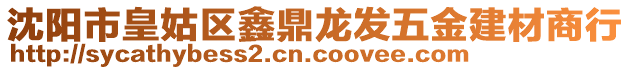 沈阳市皇姑区鑫鼎龙发五金建材商行