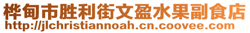 樺甸市勝利街文盈水果副食店