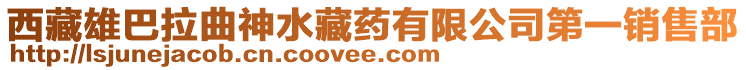 西藏雄巴拉曲神水藏藥有限公司第一銷售部