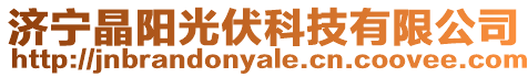 濟(jì)寧晶陽(yáng)光伏科技有限公司