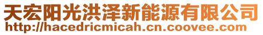 天宏陽(yáng)光洪澤新能源有限公司