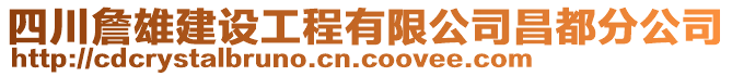 四川詹雄建設工程有限公司昌都分公司