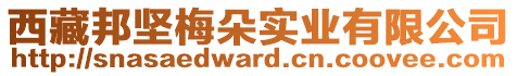 西藏邦堅(jiān)梅朵實(shí)業(yè)有限公司