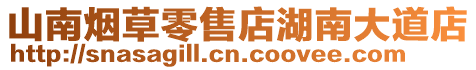 山南煙草零售店湖南大道店