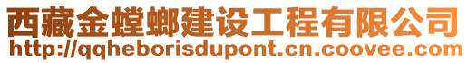 西藏金螳螂建設工程有限公司