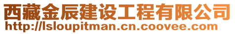 西藏金辰建設工程有限公司