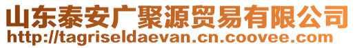 山東泰安廣聚源貿(mào)易有限公司