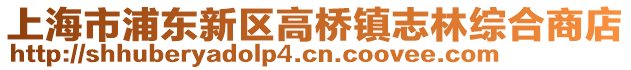 上海市浦東新區高橋鎮志林綜合商店
