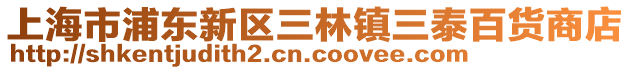 上海市浦東新區(qū)三林鎮(zhèn)三泰百貨商店