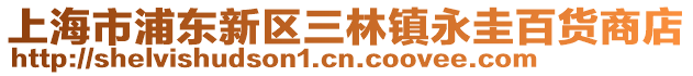 上海市浦東新區(qū)三林鎮(zhèn)永圭百貨商店