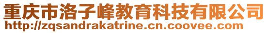 重慶市洛子峰教育科技有限公司