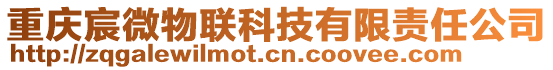 重慶宸微物聯(lián)科技有限責(zé)任公司