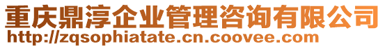 重慶鼎淳企業(yè)管理咨詢有限公司