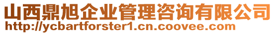 山西鼎旭企业管理咨询有限公司