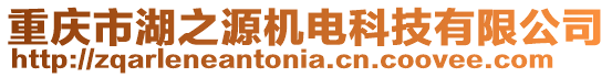 重慶市湖之源機電科技有限公司