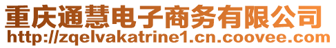 重慶通慧電子商務(wù)有限公司