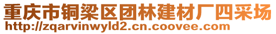 重慶市銅梁區(qū)團林建材廠四采場