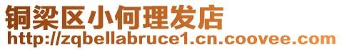 銅梁區(qū)小何理發(fā)店