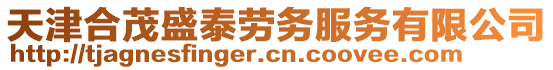 天津合茂盛泰勞務(wù)服務(wù)有限公司