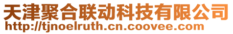 天津聚合聯(lián)動(dòng)科技有限公司