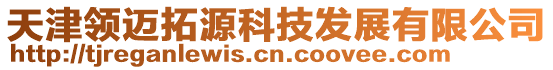 天津領邁拓源科技發展有限公司