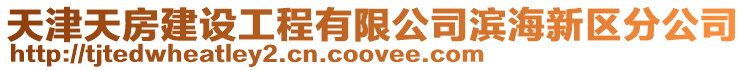 天津天房建設工程有限公司濱海新區分公司