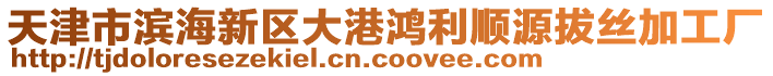 天津市濱海新區(qū)大港鴻利順源拔絲加工廠