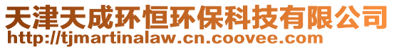 天津天成環(huán)恒環(huán)保科技有限公司