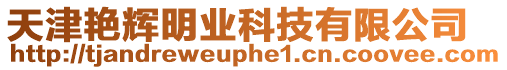 天津艷輝明業科技有限公司