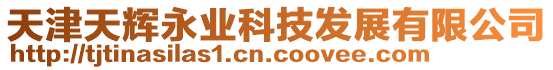 天津天輝永業(yè)科技發(fā)展有限公司