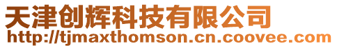 天津創輝科技有限公司