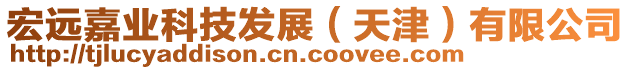 宏遠(yuǎn)嘉業(yè)科技發(fā)展(天津)有限公司