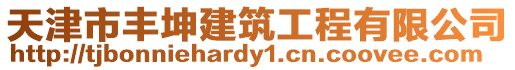 天津市豐坤建筑工程有限公司