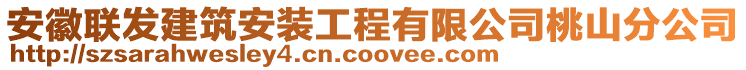 安徽聯(lián)發(fā)建筑安裝工程有限公司桃山分公司