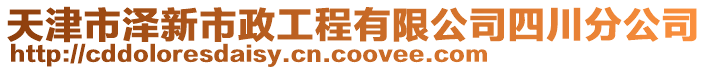 天津市澤新市政工程有限公司四川分公司