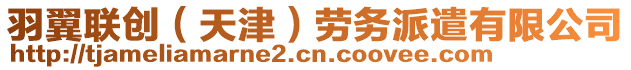 羽翼聯(lián)創(chuàng)（天津）勞務(wù)派遣有限公司