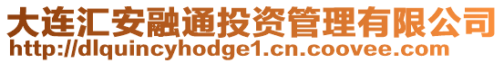 大連匯安融通投資管理有限公司